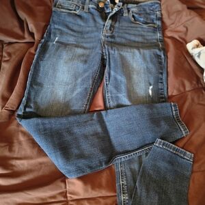 Classic Blue Straight Leg Jeans for Women